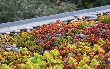 the cost of Paignton green roof installation