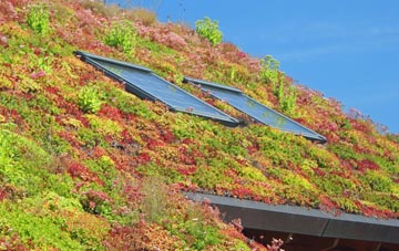 Paignton living roof systems